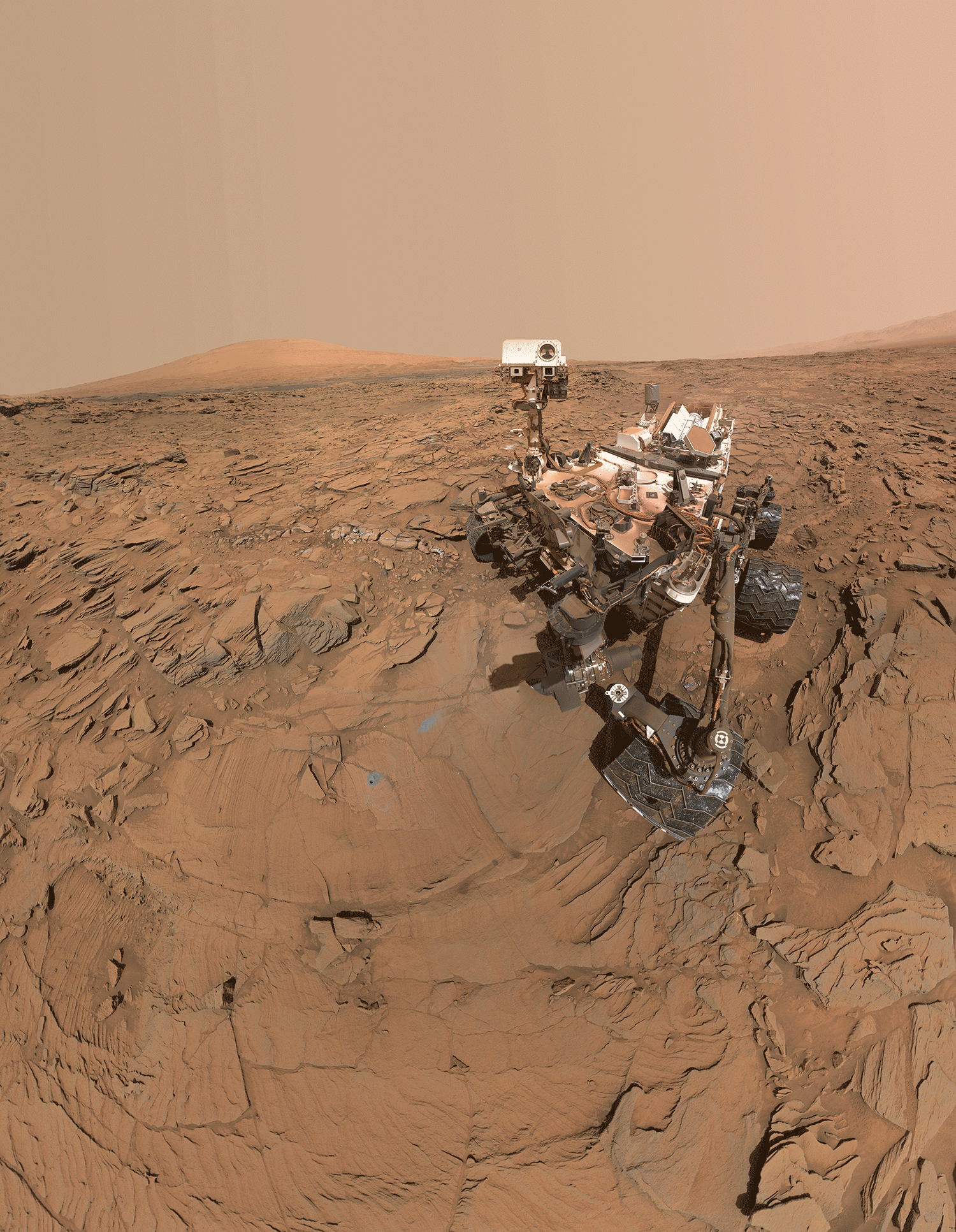 Self-portrait from NASA’s Mars Perseverance rover shows the vehicle on the desert surface of Mars. The six-wheeled rover’s camera “head” is turned to face the viewer. On the ground in front of the rover is a sealed, metal sample tube, about the size of a whiteboard marker. The rover’s wheel tracks left on the dusty surface trace a zig-zag path back to several other sites where it has placed similar tubes on the surface of this flat plain area. In the distance, hill and mesa features mark the horizon.