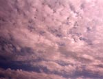 Altocumulus clouds
