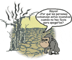 Gorila sin hogar.
