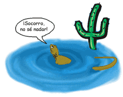 Lagarto mojado.