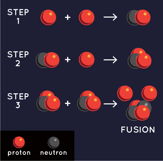 this diagram shows the mechanism of fusion: two protons combine and form a proton and neutron. That then combines with another proton. When two of those then combine, fusion occurs.