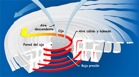 Sección transversal de un ciclón tropical