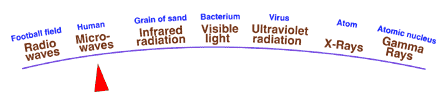 Microwaves are a bit higher than radio waves on the energy meter.