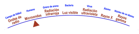 Las microondas están un poco más alto que las ondas de radio en el medidor de energía.