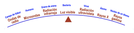 La luz visible tiene justo la cantidad correcta de energía para que nuestros ojos la puedan ver.