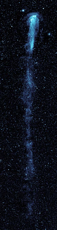 Mira is a bright spot surrounding by glowing gases and trailing a long, long tail in this blue colored ultraviolet image from GALEX.