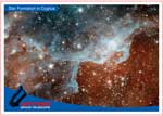 Star formation in Cygnus.