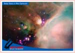 Baby stars in Rho Ophiuchi.