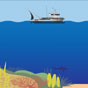 Coral Bleaching