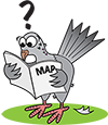 Similar Item 1 : Bad (space) weather cancels pigeon races!