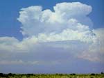 Cumulonimbus clouds