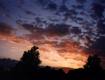 Cumulus clouds at sunset.