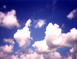 Cumulus clouds