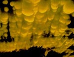 Mammatus clouds