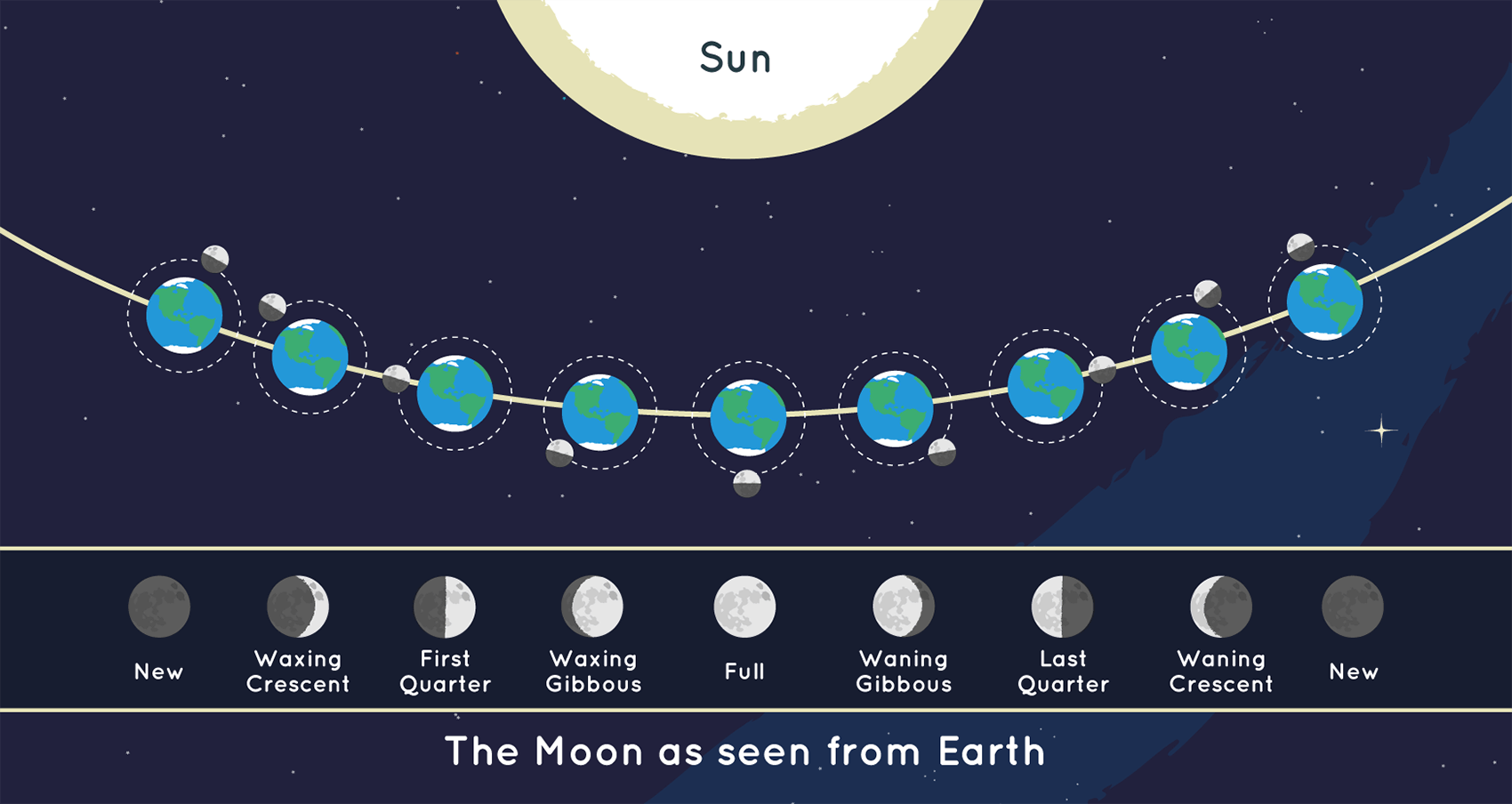 The position of the Moon and the Sun during Each of the Moonโs phases and the Moon as it appears from Earth during each phase.