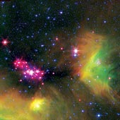 Pink baby stars.